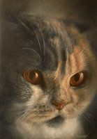 Kiss Me Keet von Shorazana