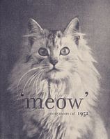 Berühmtes Zitat Katze