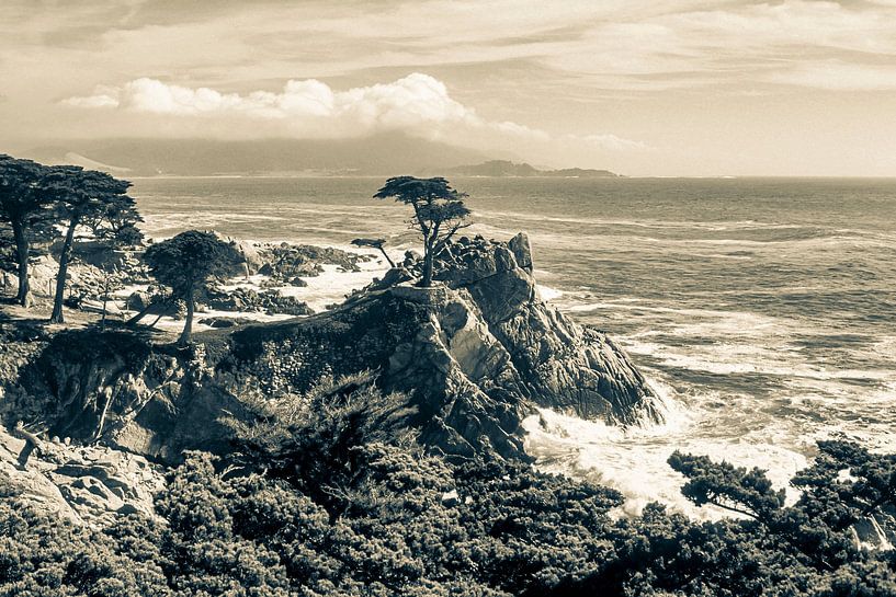 The Lone Cypress près de Monterey - Photographie analogique N&amp;B par Werner Dieterich