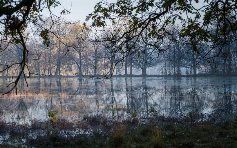 Reflecties in het bosmeer van Mart Houtman