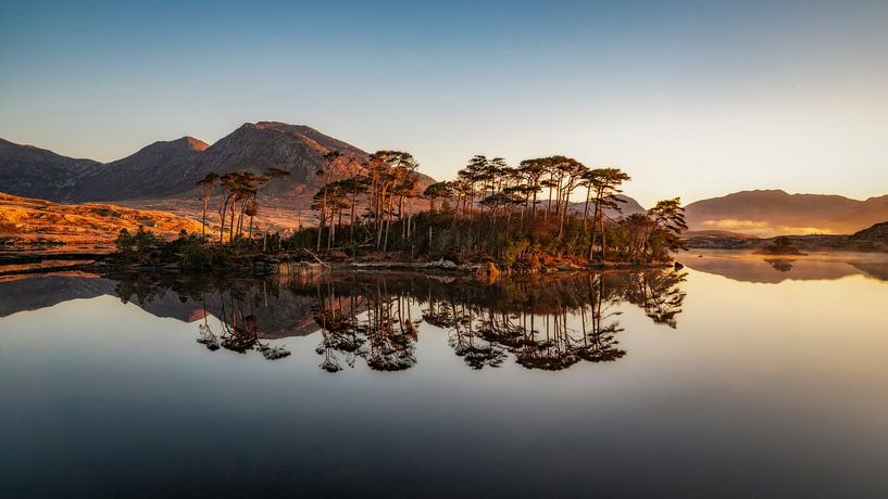 Pinieninsel - Connemara von Peter Bijsterveld