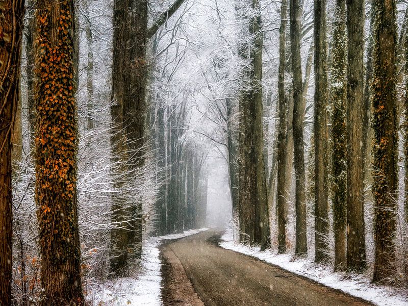 Winter in Velhorst par Lars van de Goor