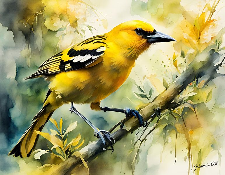 Beautiful Birds of the World - Golden Oriole bird1 by Johannas Art Creations