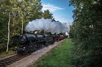 VSM 52-3879 Immenberg