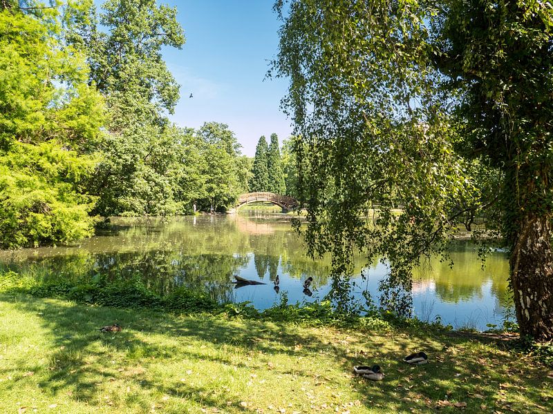 Lake in the Johannapark in Leipzig in Saxony by Animaflora PicsStock
