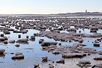 Wattenmeer voller Eis bei Terschelling