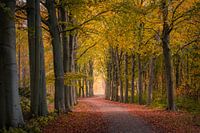 Herbstlicher Spaziergang