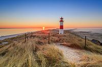 Lumière du matin au Phare List Ost