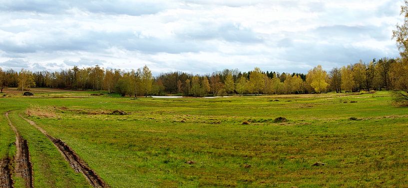 Natural preserve &quot;Blockheide&quot; by Leopold Brix
