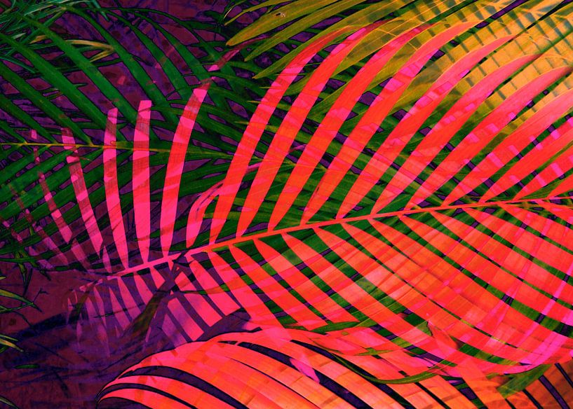 COLORFUL TROPICAL LEAVES no6 von Pia Schneider