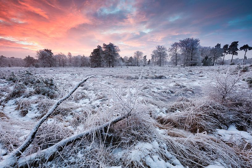 Coucher de soleil en hiver sur le parc national de Dwingelderveld par Bas Meelker