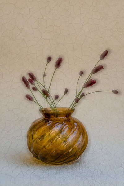 Pimpernel - Doux et rêveur par Hannie Kassenaar