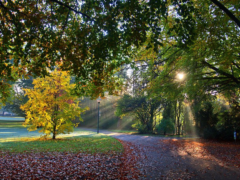 givre gris 6 par Edgar Schermaul