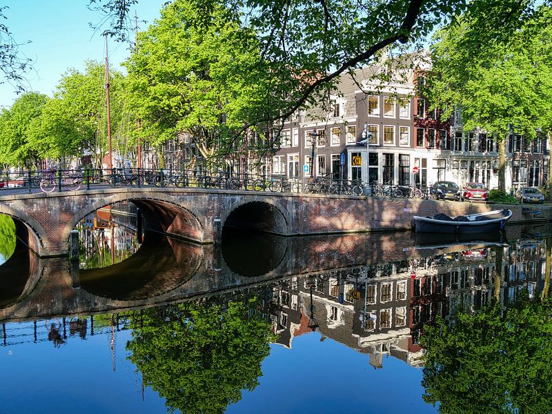 Summer morning by Odette Kleeblatt