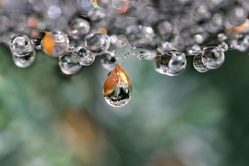 Diadem von Maria Ismanah Schulze-Vorberg