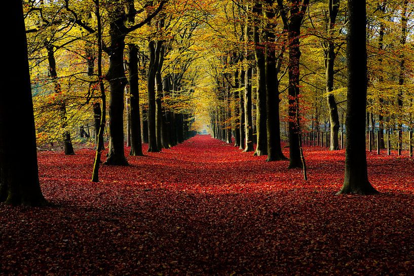 Herbst von Chris de Gier