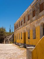 The House of Silence