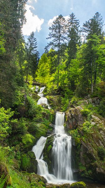 Viele Wasserfälle im grünen Wald Dschungel wie Natur Landschaft mit Sonne von adventure-photos