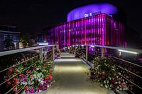 Zwolle Theatre the Mirror