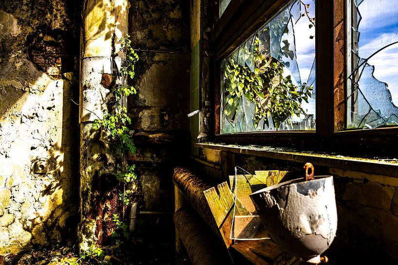 Broken windows and rampant nature - decay and life in a lost place by Infinite Decay