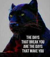 Jaguar Tierische Motivation