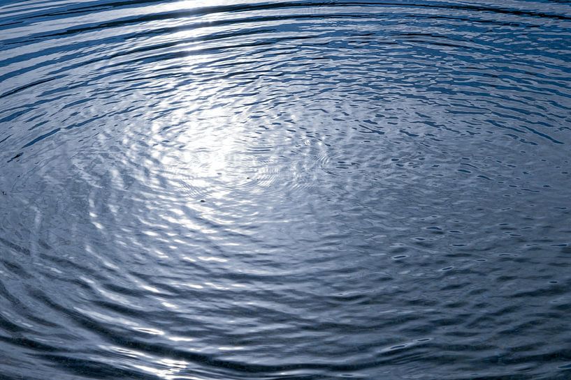 Im Kreislauf des Lebens. von Andreas Kilian