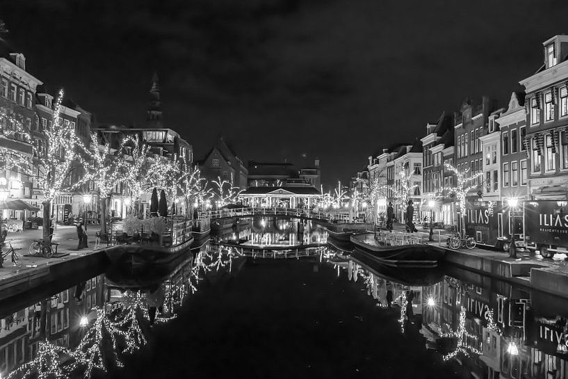 Leiden black and white waiting for the winter by Erwin van Eekhout
