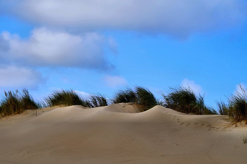 Blauw Zand von ZEVNOV .