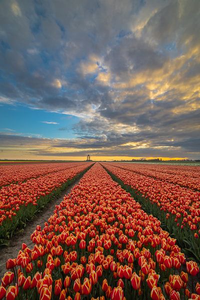 tour à Krabbedam par peterheinspictures