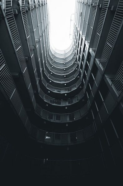 Hongkong vibre à Rotterdam par vedar cvetanovic