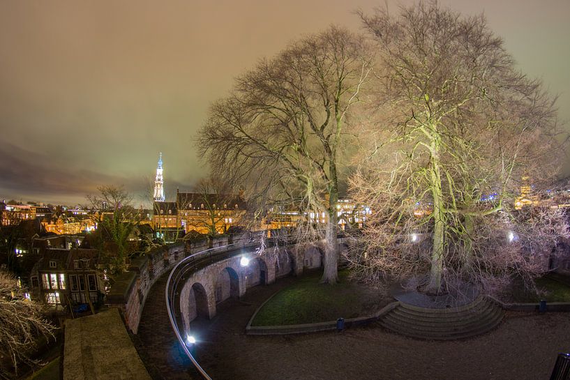 Burcht, Leiden van Jordy Kortekaas