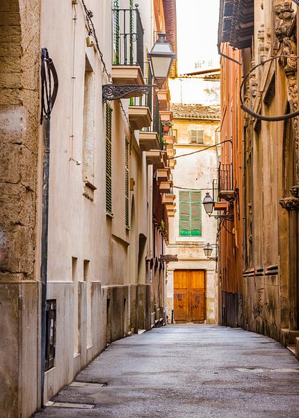 Alley at the historic city center of Palma de Mallorca, Spain by Alex Winter