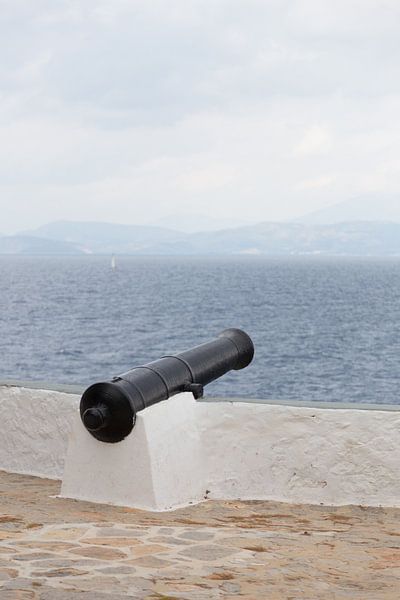 Eenzaam kanon by Catching Moments