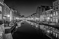 Quiet evening on a Leiden canal (black and white)