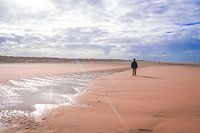 Sur la plage de Texel