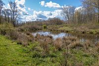 A river meanders through the landscape