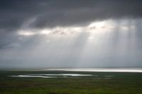 Escaliers paradisiaques dans le Ngorogoro