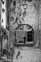 Amersfoort, Dievetorentje