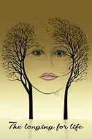 warmer Sonnenschein im Wald taucht die Natur in Gold