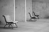 Three park benches in the Berlin urban jungle