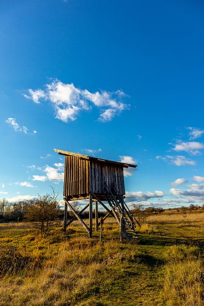 Spaziergang durch das wunderschöne Hainich Tal von Oliver Hlavaty