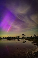 Aurores boréales dans les dunes de Drunense