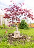 Meditieren unter einem Bonsaibaum