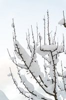 Paysage d'hiver minimaliste