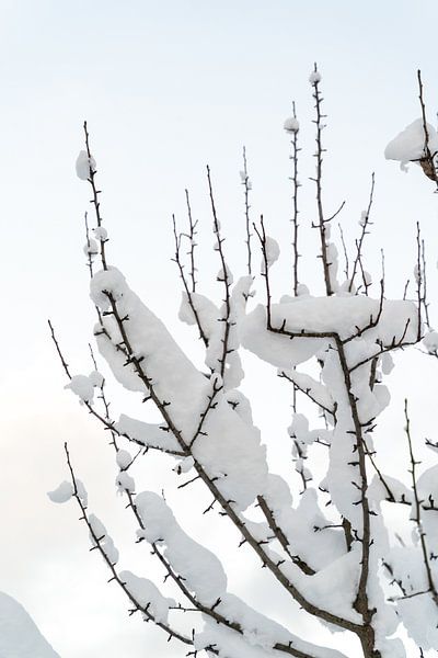 Minimalistische Winterlandschaft von Xulé Bogers