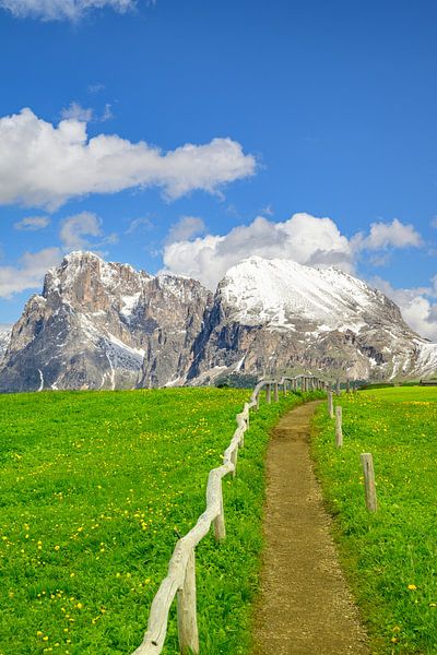 Path over the Seiser in the Dolomites by Sjoerd van der Wal Photography