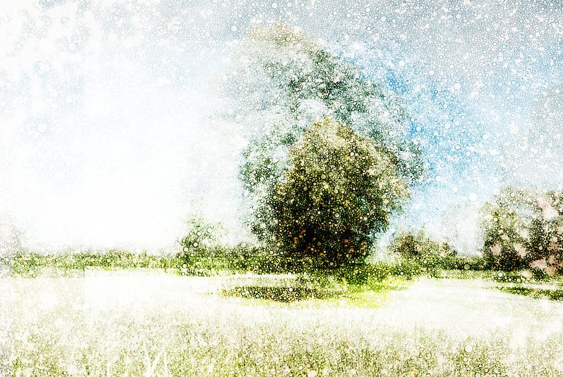 Dutch landscape Den Bosch, the Netherlands by Peter Baak