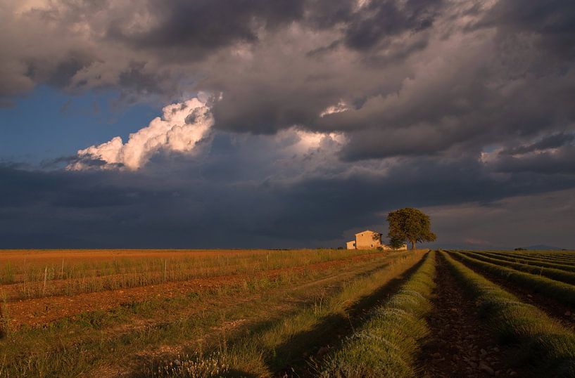 Le cabanon by Georges Rudolph