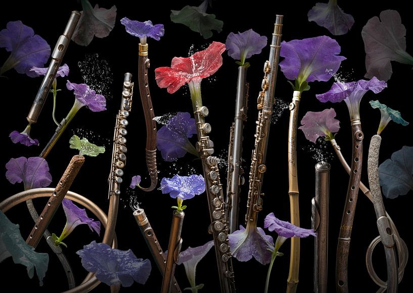 Fluta petunia par Olaf Bruhn