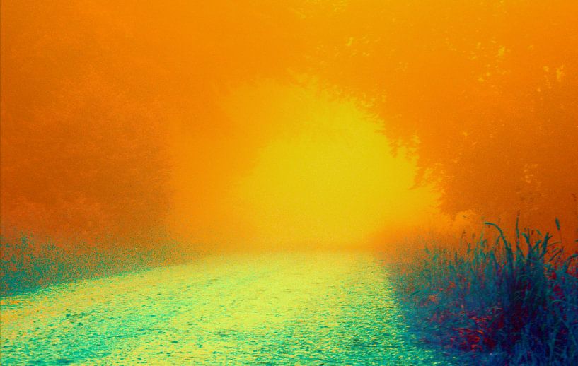 Ein Weg im Wald im Sonnenuntergang von art559